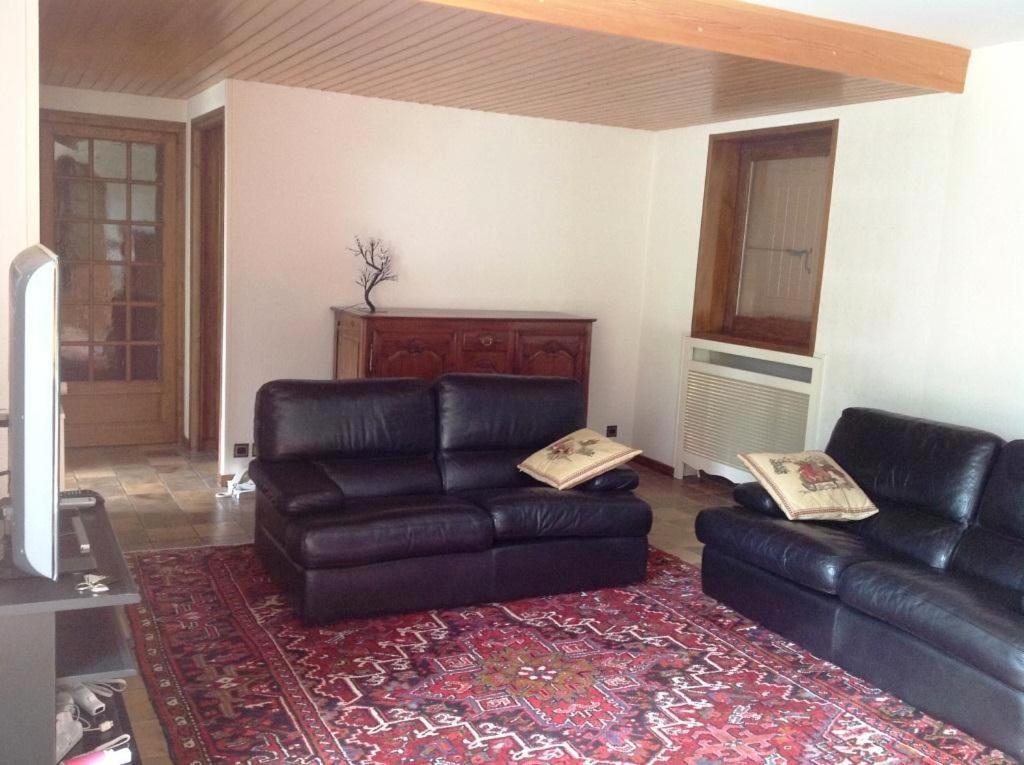 Les Grangettes 2 - Duplex - Wifi Gratuite Apartman Les Carroz d'Araches Kültér fotó